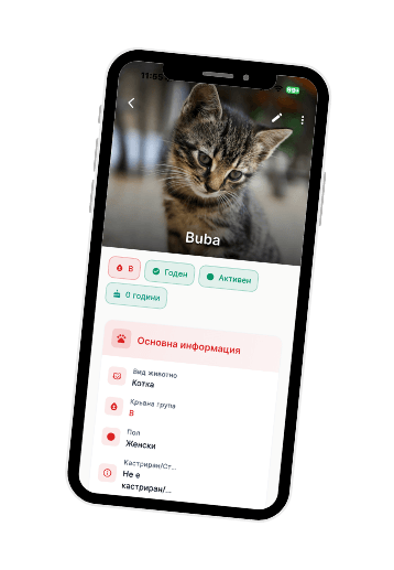 кръв домашни любимци